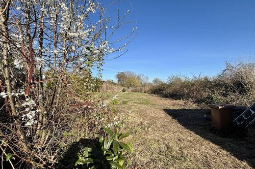 Blick in den hinteren Garten - 