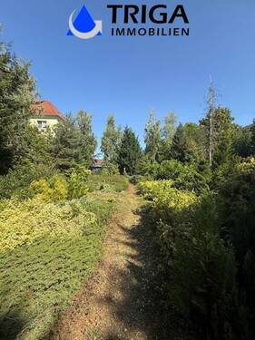 Bild 8 - 
