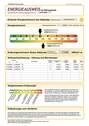 Energieausweis - 
