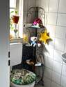 EG WC + Waschbecken - 