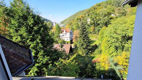 Blick vom Wohnzimmer - 