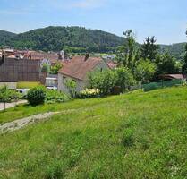 Hier lässt es sich wunderbar leben - Baugrundstück mit Aussicht in herrlicher Lage von Schmidmühlen