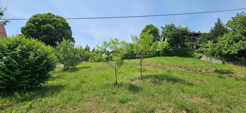 20250611_144117.jpg - Grundstück in Schmidmühlen