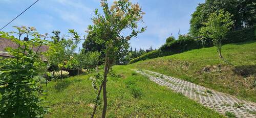 20250611_144102.jpg - 