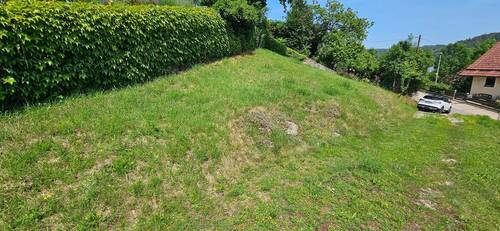 20250611_144237.jpg - 