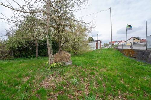 Garten - 