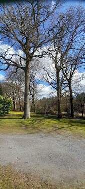 IMG-20260407-WA0018.jpg - 