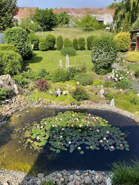Blick aus dem Wintergarten - 