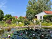Fischteich - 