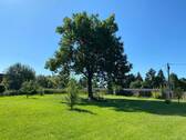 große Wiese - 