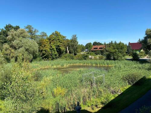 großer Teich an Vorderseite - 