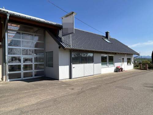 Ansicht Zufahrt und Lagerhalle - 7 Zimmer Mehrfamilienhaus, Wohnhaus zum Kaufen in Freiamt