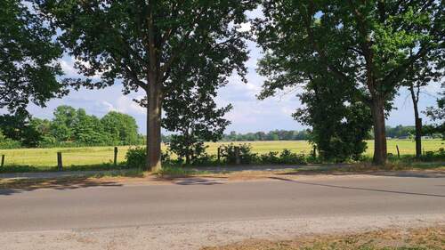 Bilck auf die Straße - 