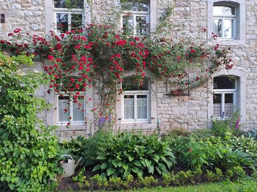Detailansicht - Historisches Wohnhaus mit Einliegerwohnung und vielseitigen Nutzungsmöglichkeiten in Aachen-Hahn