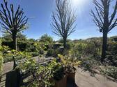 Schöner Ausblick vom Gartenbereich (Allgemeinfläche des Hauses) - 