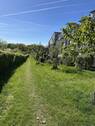 Obstwiese mit Weg vorm Haus - 