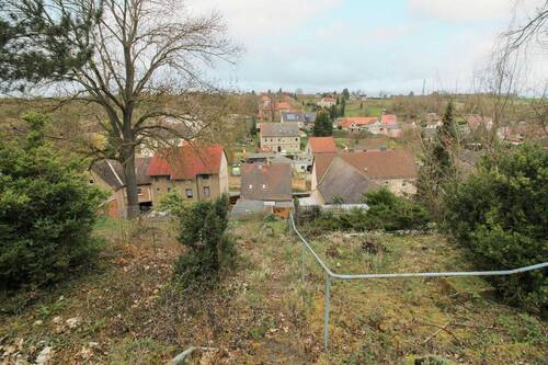 Blick vom Garten - 