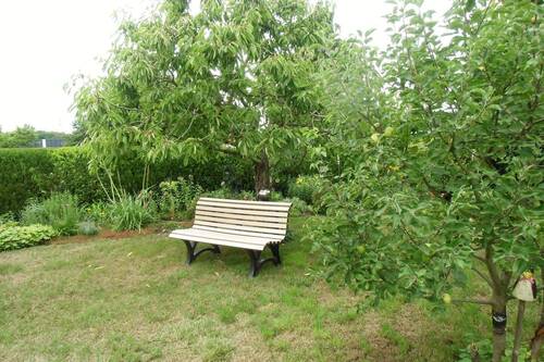 29 Detail Garten.JPG - 