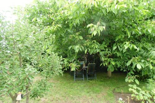 30 Detail Garten.JPG - 