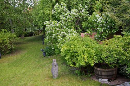 Blick in den Garten v. OG - 