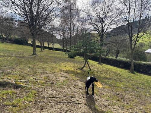 großes Grundstück - 