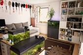 Wohnzimmer - 