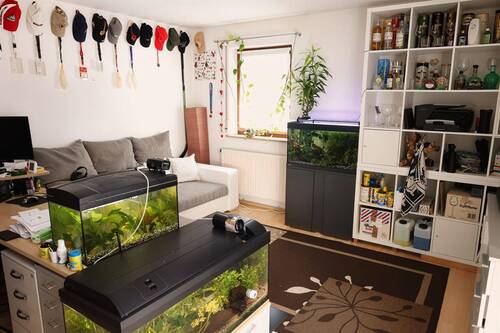 Wohnzimmer - 