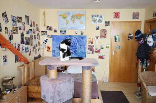 Wohn/Schlafzimmer - Etagenwohnung mit 34,40 m² in Bitz zum Kaufen