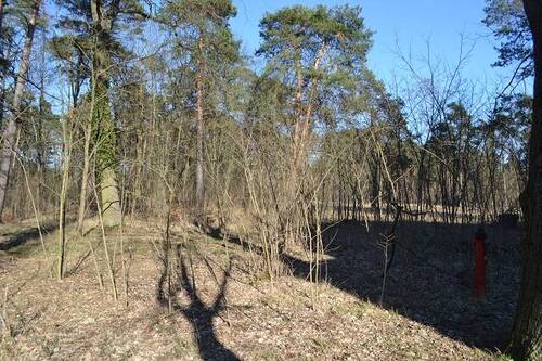 Ansicht 1 - Baugrund für MFH oder EFH auch Teilflächenankauf möglich