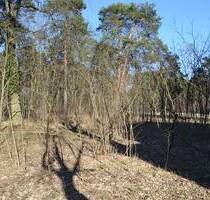 Baugrund für MFH oder EFH auch Teilflächenankauf möglich - Teupitz