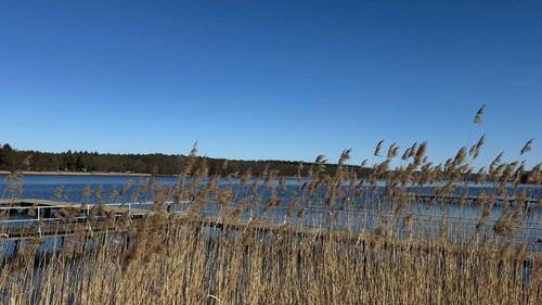 Groß (IMG_6471).jpeg - Grundstück in Lenzen (Elbe)