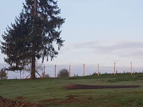 PHOTO-2025-11-28-15-26-43-1.jpg - BAUGRUNDSTÜCK IN HAUTBELLHAIN (GEMEINDE TROISVIERGES)