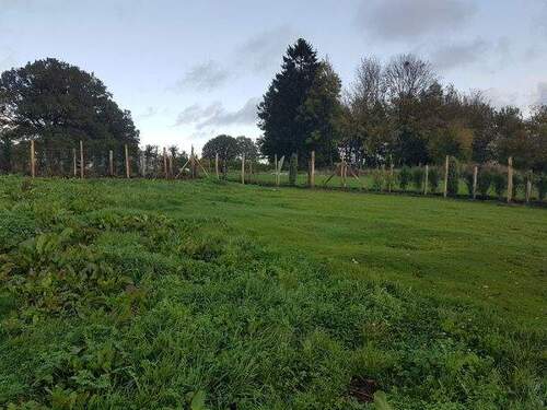 PHOTO-2025-11-28-15-26-44-3.jpg - 