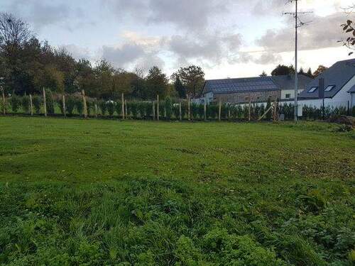 PHOTO-2025-11-28-15-26-44-4.jpg - 