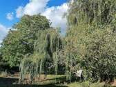 Gartenansicht - Doppelhaushälfte mit 115,00 m² in Ahrensfelde zum Kaufen
