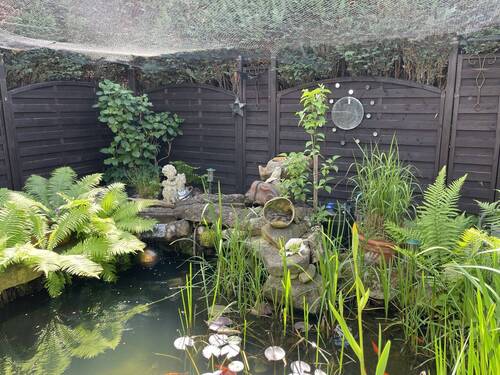 Gartenteich - 