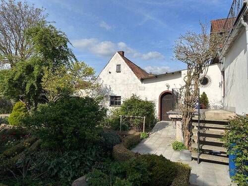 Schuppen - 