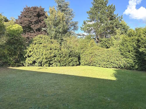 Bild 5 - 