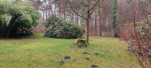 Garten - 