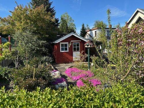 Schuppen - 
