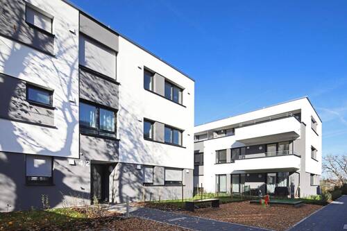 Bild 11 - 