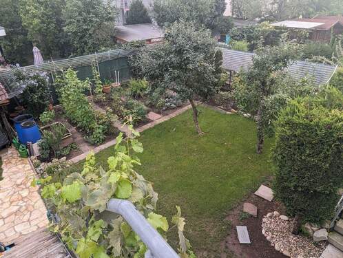 Blick in den Garten - 