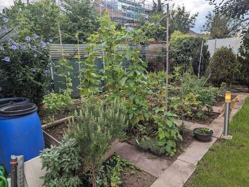 Garten mit Beeten - 