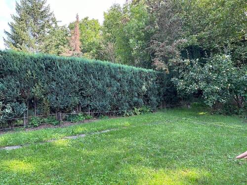 Schöner kleine (Pacht) Garten hinterm Haus - 