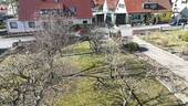 Vorgarten - 