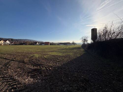Grenze Peuntgasse_Westseite.JPG - Großzügiges sonniges Baugrundstück im Landkreis Bayreuth