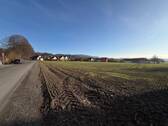 Grenze Peuntgasse_Norden02.JPG - Grundstück in Goldkronach