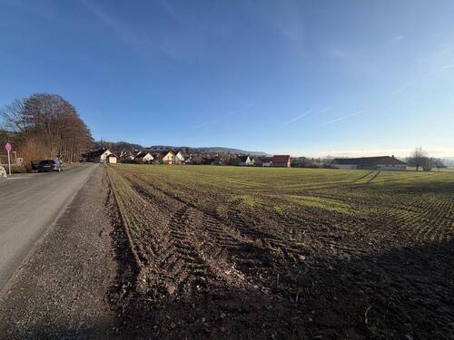 Grenze Peuntgasse_Norden02.JPG - Grundstück in Goldkronach