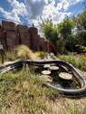 Kleiner Teich - 