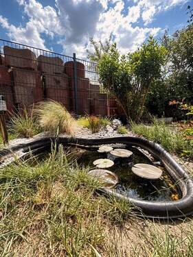 Kleiner Teich - 